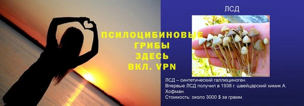 амф Алзамай