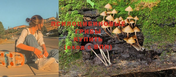 амф Алзамай