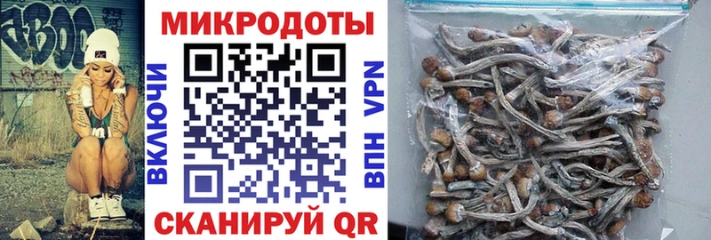 цена наркотик  Туапсе  MEGA ссылка  Галлюциногенные грибы ЛСД 