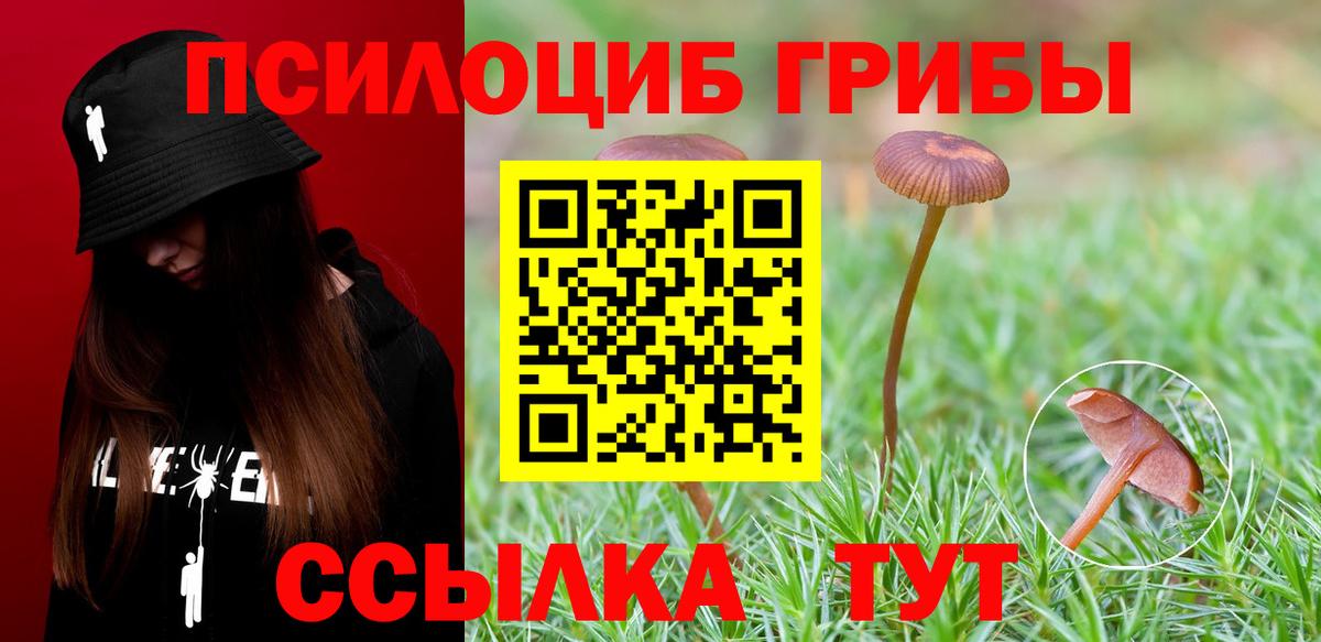 Туапсе  где можно купить   Галлюциногенные грибы Psilocybe  Вход с VPN  Галлюциногенные грибы Psilocybine cubensis 
